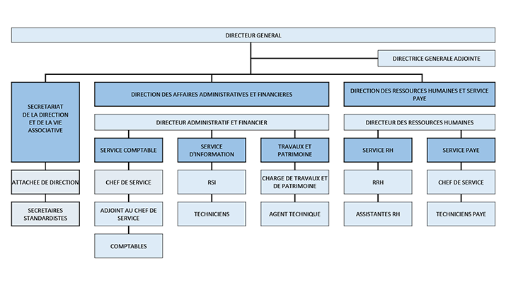 Organigramme de direction générale